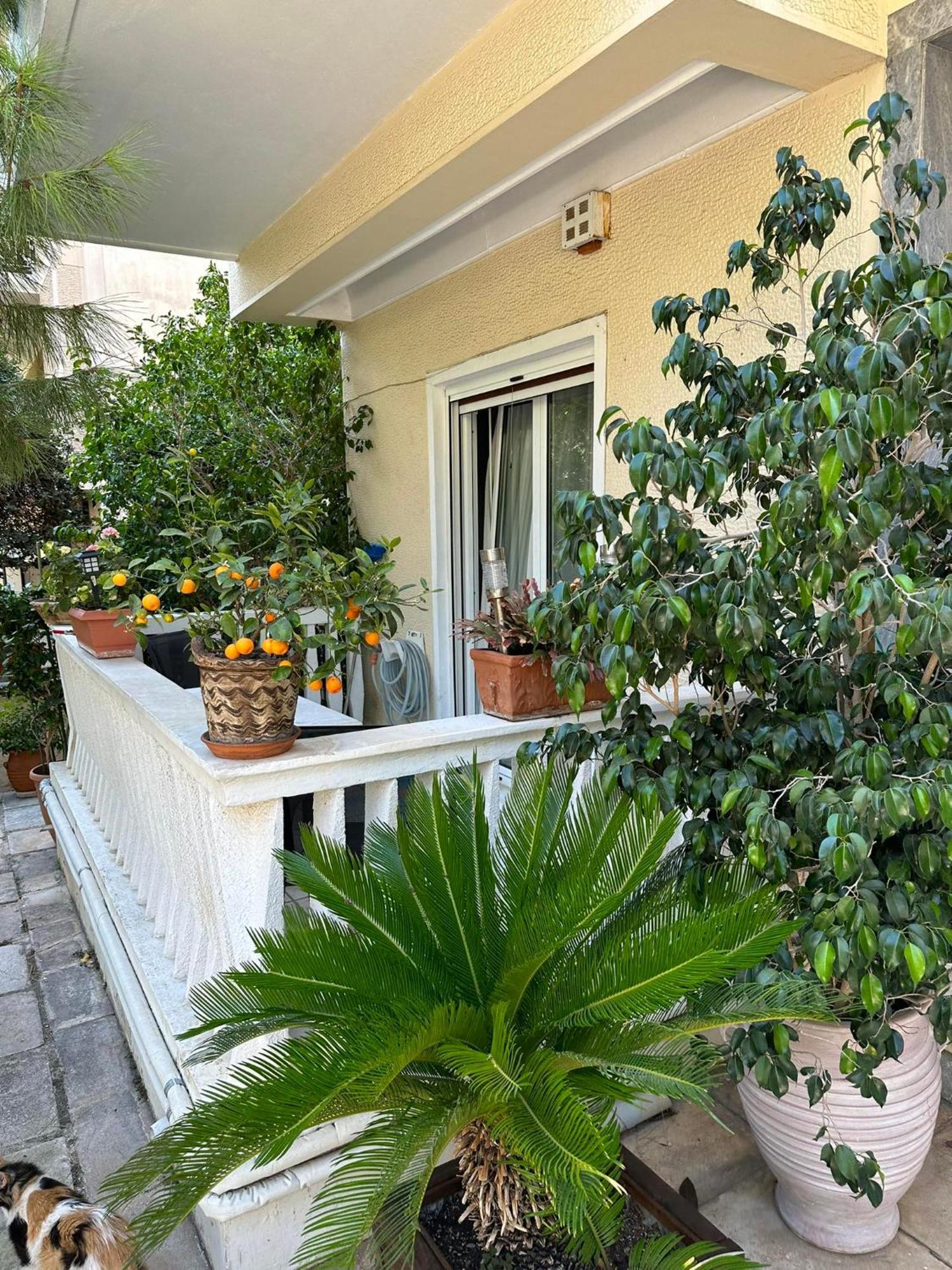 Angel , Luxury 2Bd Apartment Next To The Beach Athens Exterior photo